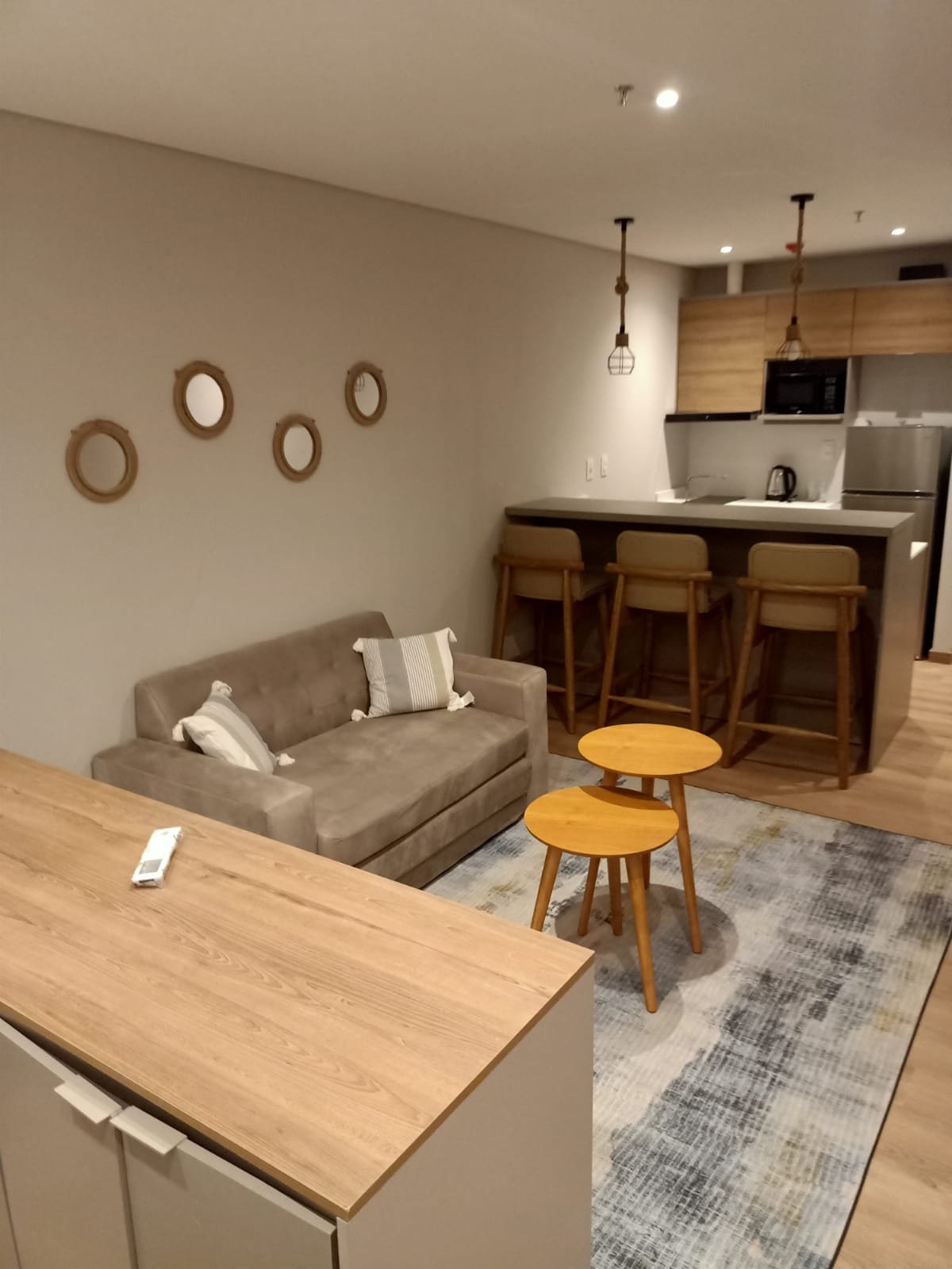 MONOAMBIENTE EN EL EJE CORPORATIVO